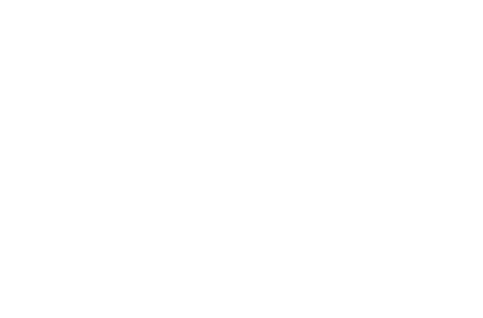 WCS Lorient